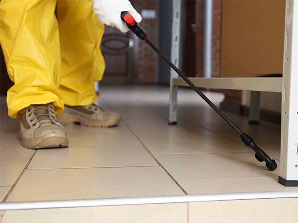 Best Pest Control Services in Ahmedabad