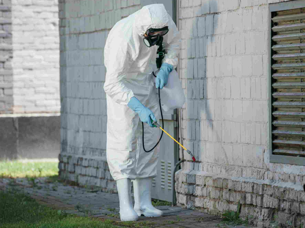 Best Pest Control Services in Ahmedabad