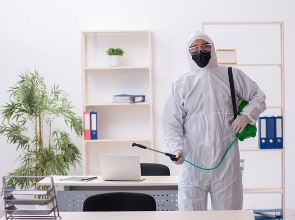 Best Pest Control Services in Ahmedabad