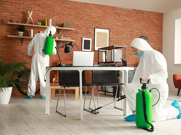 Best Pest Control Services in Ahmedabad