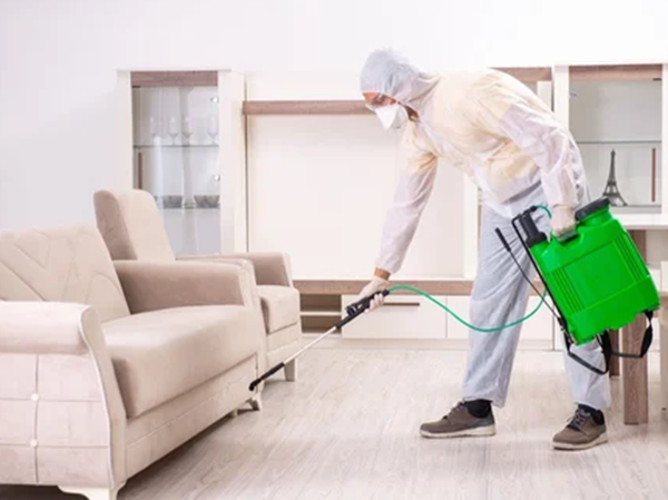 Best Pest Control Services in Ahmedabad