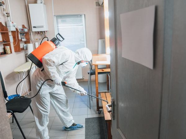 Best Pest Control Services in Ahmedabad