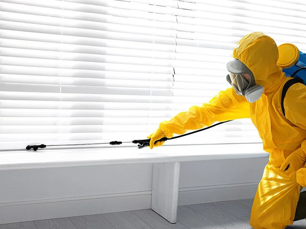 Best Pest Control Services in Ahmedabad