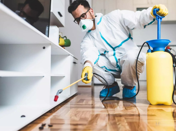 Best Pest Control Services in Ahmedabad