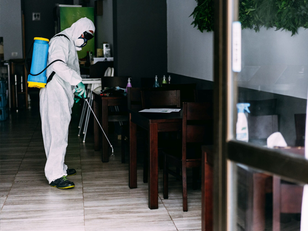 Best Pest Control Services in Ahmedabad