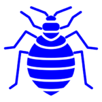 Bed Bug Control