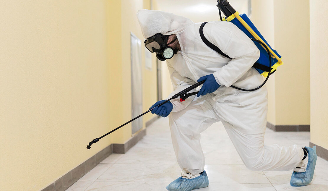 Post Construction Termite Treatment