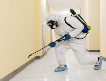 Post Construction Termite Treatment