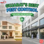 Gujarat’s Best Pest Control for Homes and Businesses
