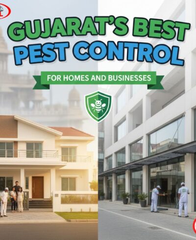 Gujarat’s Best Pest Control for Homes and Businesses