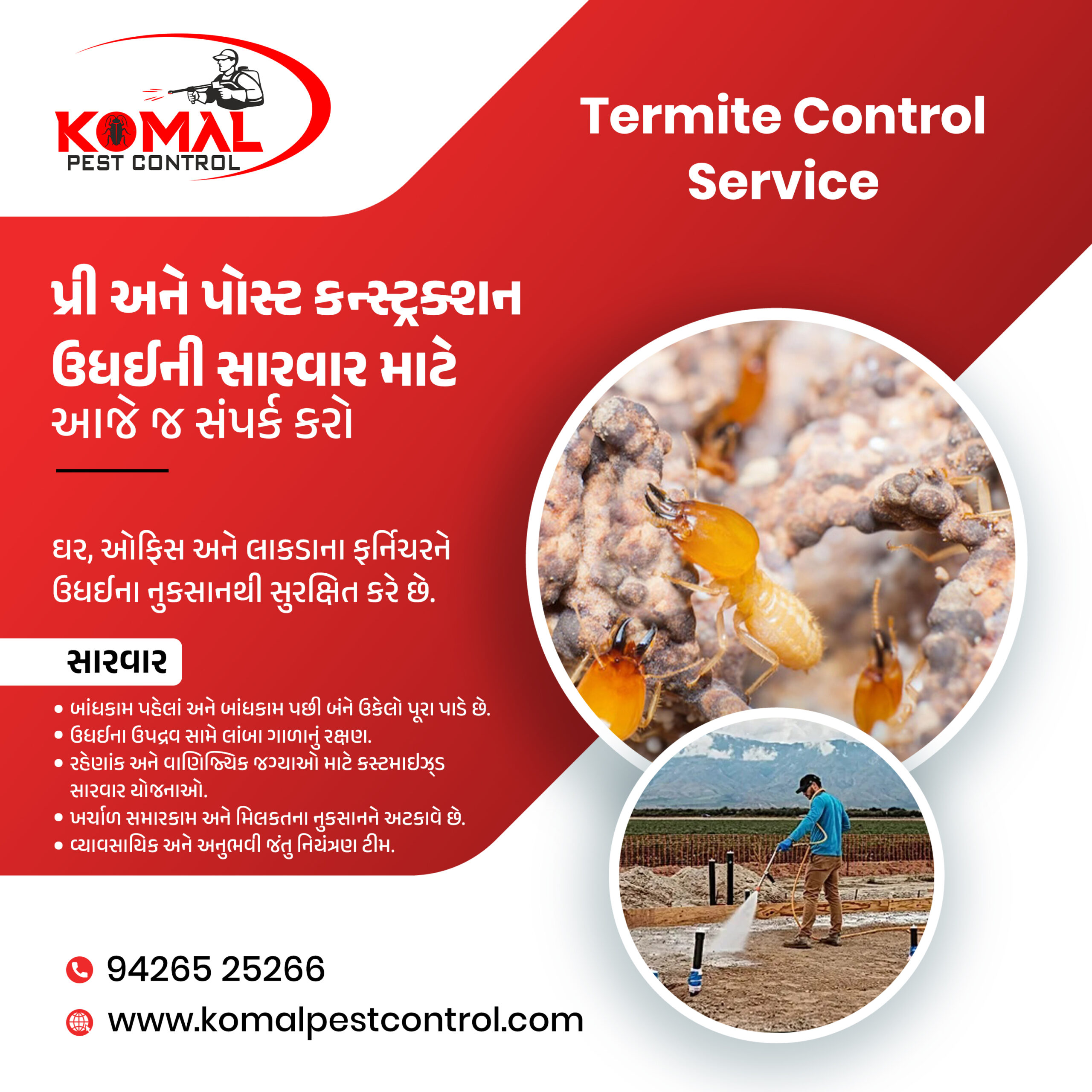 Termite Control Service