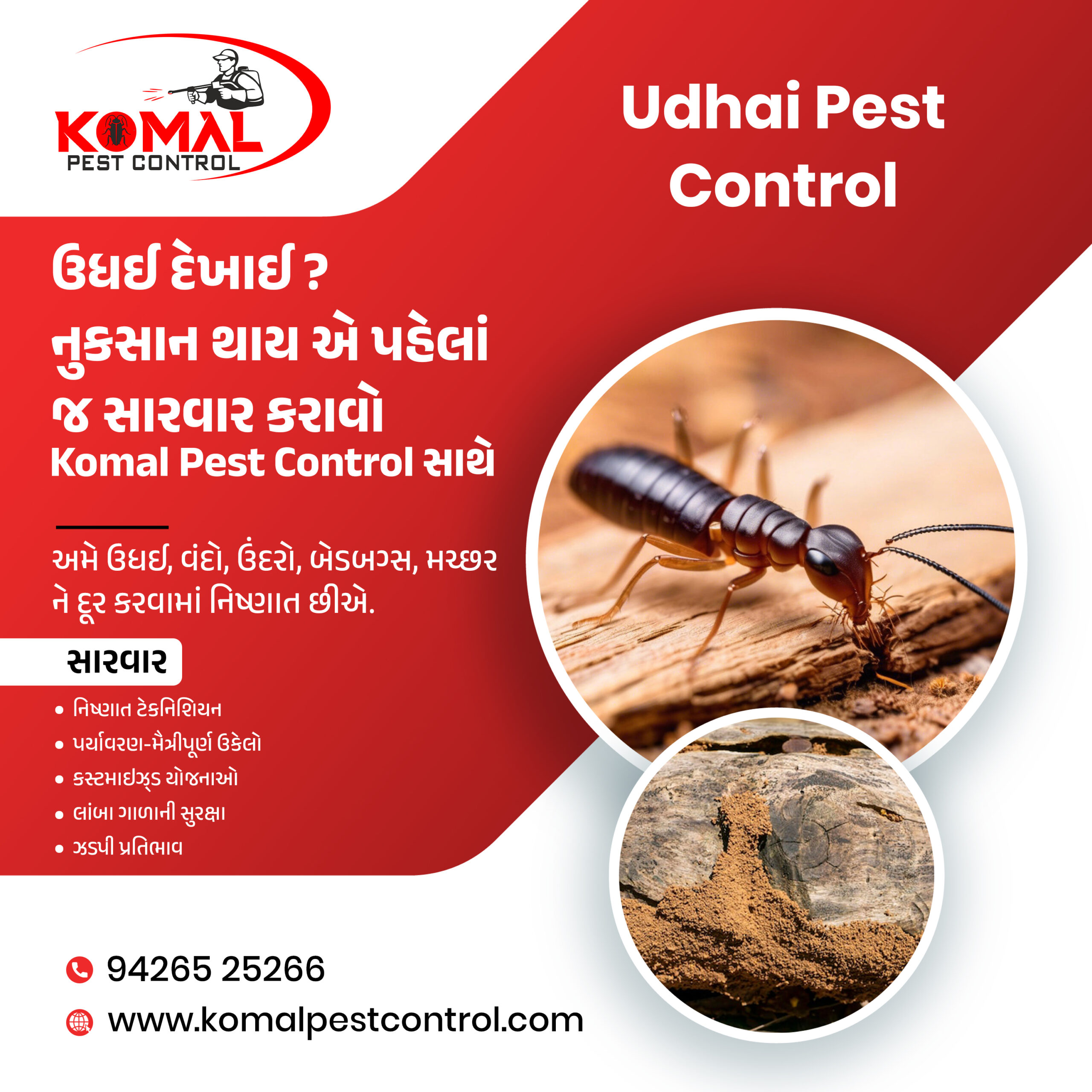 Best Pest Control Services in Kankaria Ahmedabad
